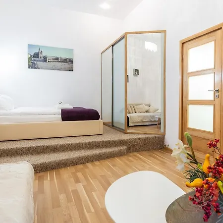 Xxl Apartment Old Town 24 H - Check In, Wi-Fi Krakow Exterior photo
